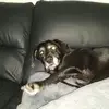 Ricky_stagg - @Ricky_stagg - TikTok