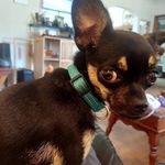 Ricky Stultz - @stultzricky - Instagram