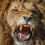 Ricky Teague - @kingblack1550 - Instagram