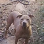 Ricky Thrower - @rthr3678 - Instagram