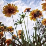 Ricky Tsang - @rickytsang - Instagram
