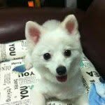 Ricky Tsang - @rickytsang_729 - Instagram