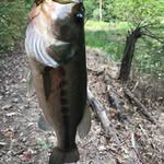 Ricky tyson - @rickytyson1422 - Instagram