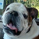 Ricky Gupton - @rickygupton - Instagram