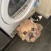 Ricky Hutt - @ricky.hutt - TikTok