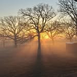 Rick Vanover - @graceandgrit.markets - Instagram