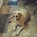 Rickey Vickers - Facebook