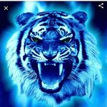 Ricky Vogel - @ric.k19667 - Instagram