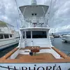 CaptainRickyWheeler - @captainrickywheeler - TikTok