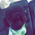 Ricky Willis - @ricky.willis00 - Instagram