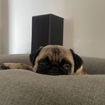 Ricky Willis - Facebook