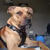 rickywillis534 - @rickywillis534 - TikTok