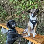 Cornelia Rickenbach-Winiger - @rickenbachwiniger - Instagram