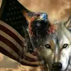 000000000 - @rickywolf1982 - TikTok