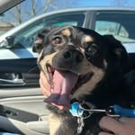 Ricky Wolf Gang Bracken - @ricky_wolf_bracken - Instagram
