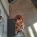 Ricky Wyche - Facebook