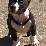 Rico Clark - @rico.clark.7161 - Instagram
