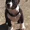 Rico Clark - @rico.clark02 - TikTok