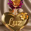 luz rico @12084 - @luzelvagalvanrico - TikTok