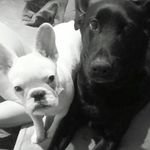 Enrico Reinicke - @ricohalle1907 - Instagram