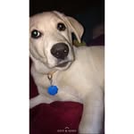 Rico - @rico.juarez - Instagram