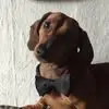 Rico Lang - @rico.lang7 - TikTok