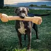 Rico - @ricomason64474 - TikTok