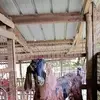 Rico Miranda - @rico.miranda1 - TikTok