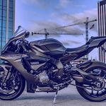 Rico Mitchell - @lifeandpigs3 - Instagram