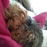 rico singleton - @rico__chewbacca_singleton - Instagram