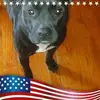 Rico Williams - @user5704332176413 - TikTok