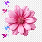 Rida Qureshi - Facebook