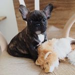 Ridge ’Paavo’ Forrester - @ridgepaavo - Instagram