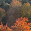 ridgeforresterofficial - @ridgeforresterofficial - TikTok