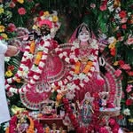 Ridhi Singla - @ridhi.singla.775 - Instagram