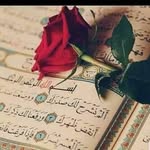 Riffat Islam - @islamriffat - Instagram