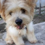 Rigel Brown - @rigelbrown - Instagram