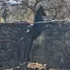 Rigo Herrera - @rigo.herrera36 - TikTok