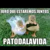 Rigo Leal - @rigoleal0 - TikTok