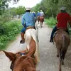 rigo leal 🐴🤠❤ - @rigo_leal7703 - TikTok