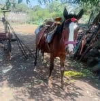 Rigo Ramirez - Facebook