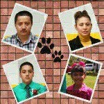 Rigo Soto - @rigosot - Instagram