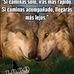 Rigoberto Escobar Mendez - Facebook