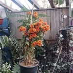 Rigoberto Jauregui - @yesimeza73 - Instagram