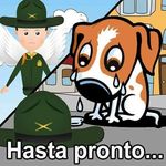 Rigoberto Lemus - @lemus5636 - Instagram