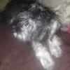 Rigoberto Partida - @rigoberto.partida - TikTok