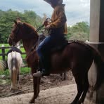 Rigoberto Suarez - Facebook