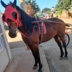 Rigoberto Suarez - @riguito95 - Instagram