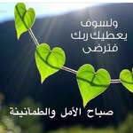 Riham El Hamed - @rihamelhamed - Instagram