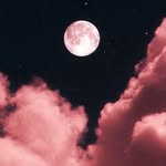 Riham Mohammed Hamed - @rihammohammed13 - Instagram